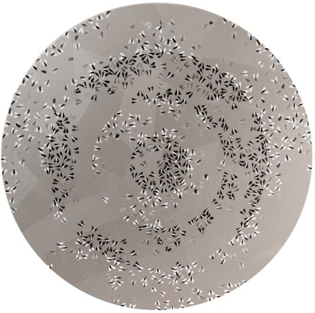Target / Cible